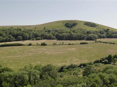 Picture 30